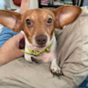 Meet your Posher, Ed